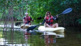 Visita guiada en kayak por los manglaternera de Cancún 2 hrs