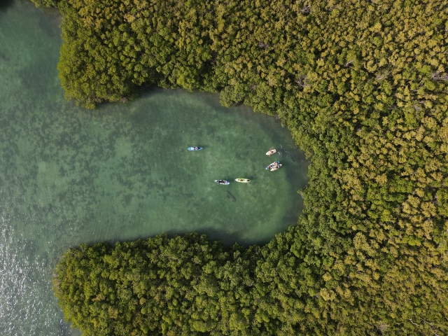 Ruta hacia los manglaternera