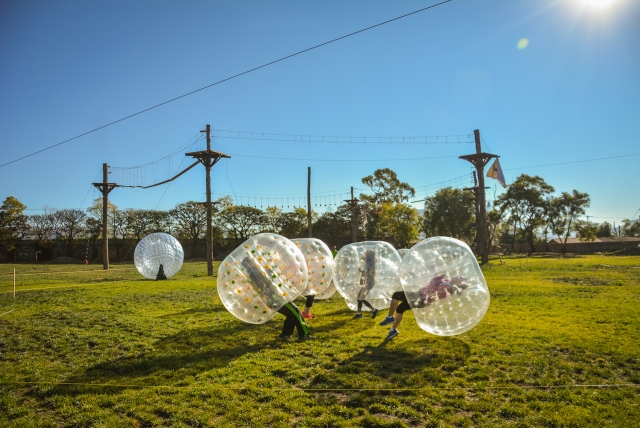 Bumperballs