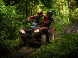 Alquila de quad monoplaza en Mazamitla 1 hora