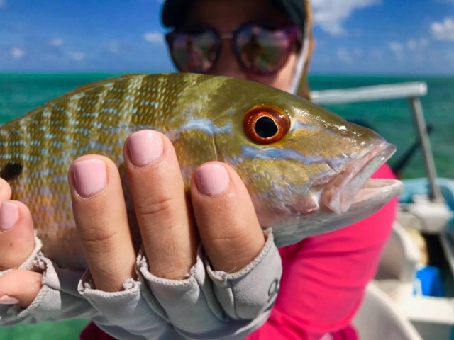 Pesca deportivas