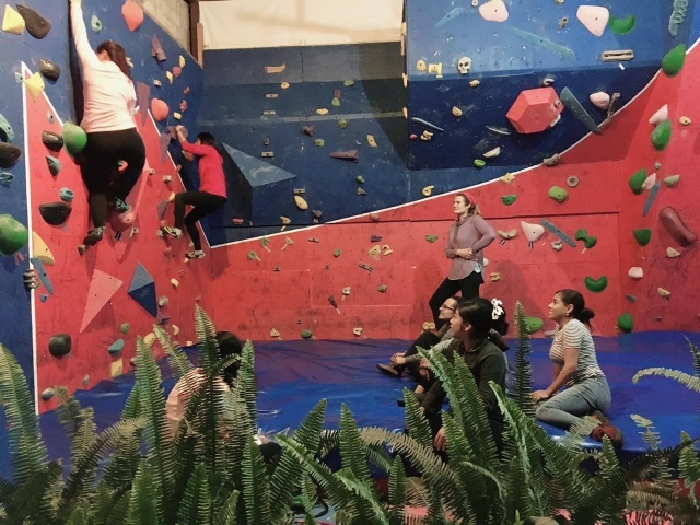 Clases de escalada