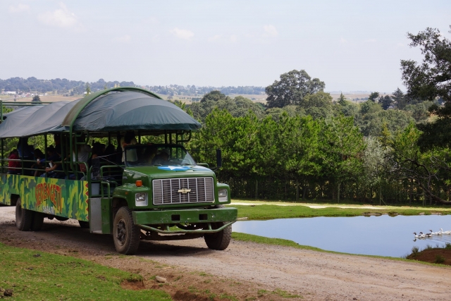 Recorrido safari