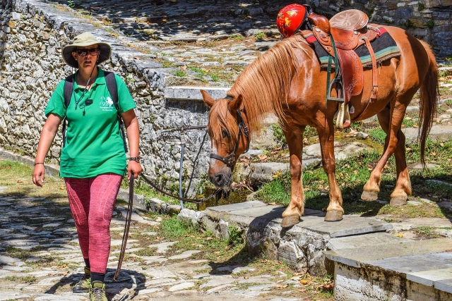 Visitas guiadas guiados a caballo
