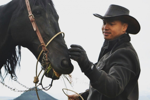 Recorrido con caballos