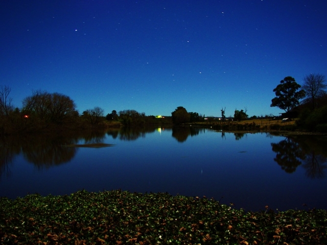 Visita guiada biolumiscente