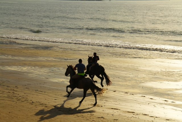 Cabalgando a la orilla del mar