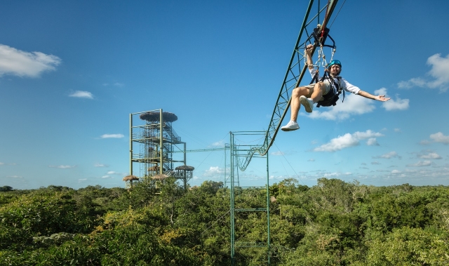 Volando sobre las copas de los árboleres