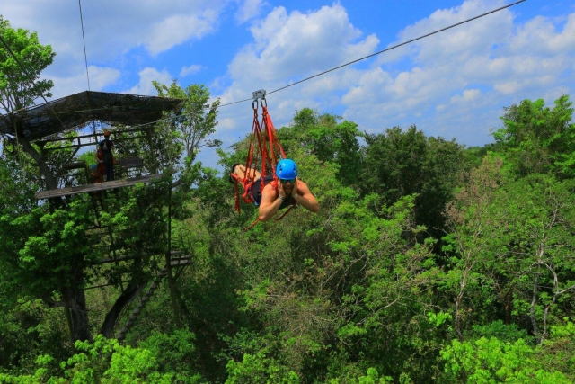 Volando en la jungla