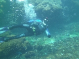 Salida de buceo nocturno en Huatulco 3 horas
