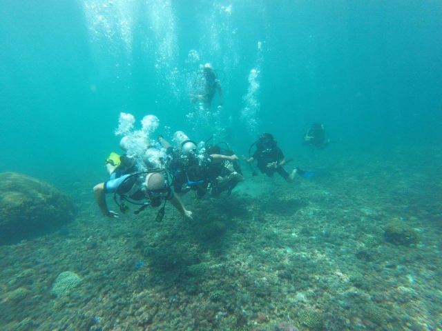 Nadando en el arrecife