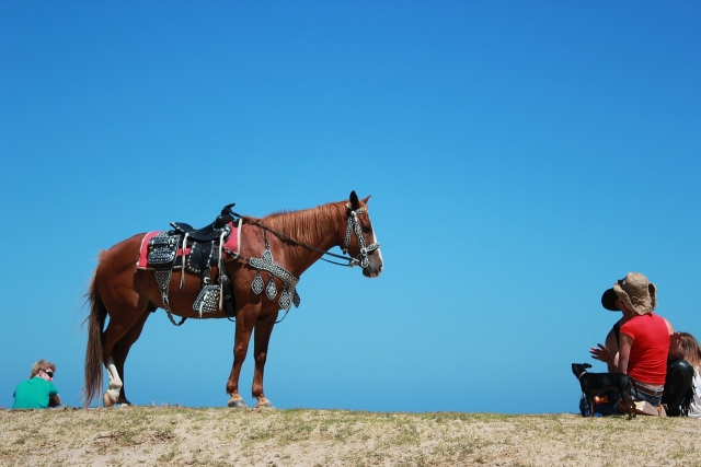 Monta a caballo