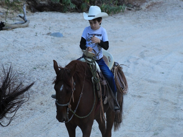 Ruta a caballo en Los Cabos para chicos y grandereres