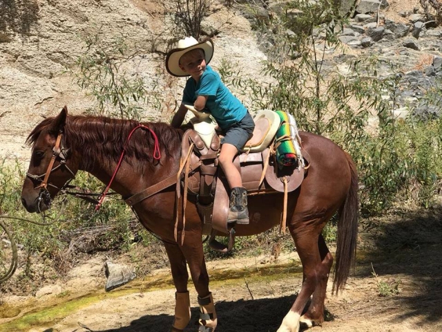 Paseo a Caballo en Los Cabos 4 hrs precio niños