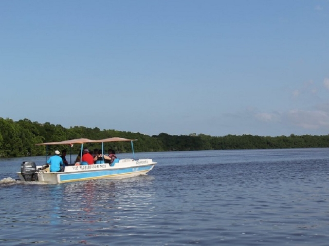 Paseo en lancha por Reservas Celestún 2.5 horas