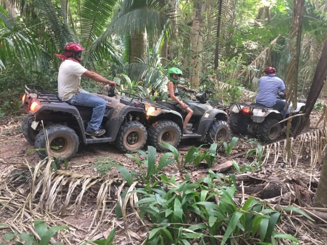 Cuatrimotos entre jungla