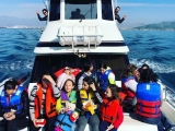 Avistamiento de ballenas en la bahía de Ensenada
