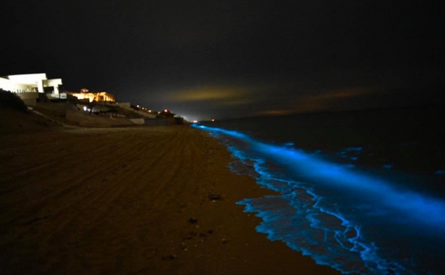 Huatulco bioluminiscencia
