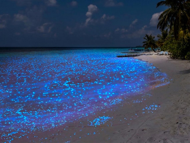 Luminiscencia en México
