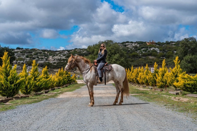 Recorre y disfruta nuestras vistas en un paseo a caballo