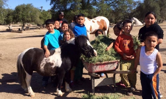 Paseo para tus hijos en poni