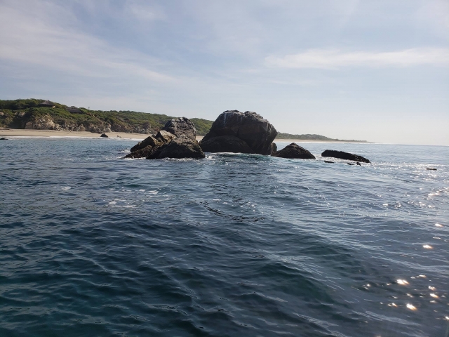 Avistamiento de ballenas