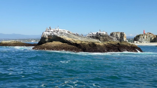 Playas en Puerto Escondido