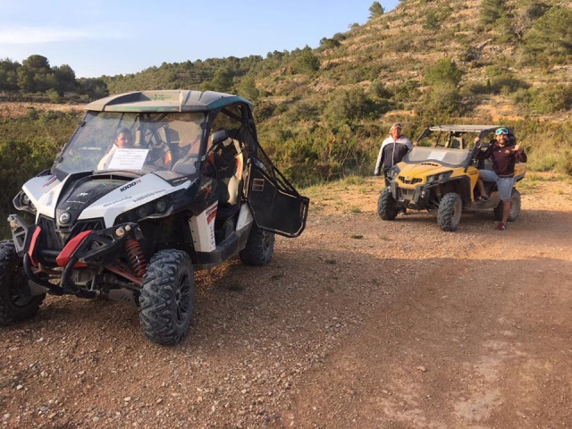 Visita guiada en Buggie