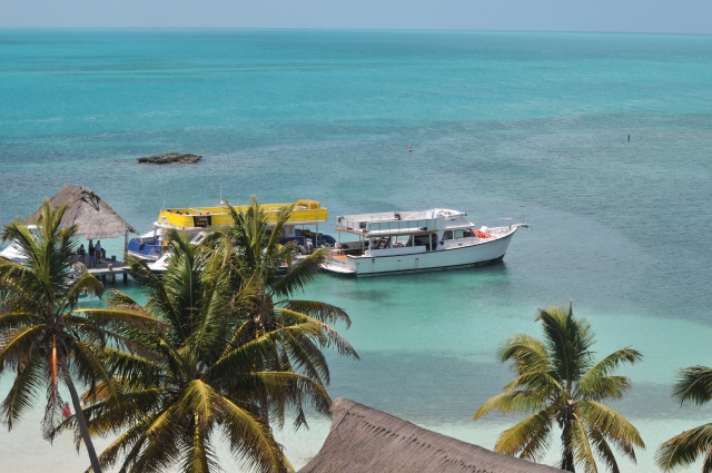 Visita guiada en barco