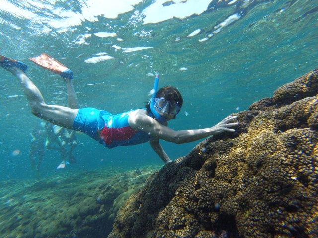 Trae a tu familia a una aventura en snorkel