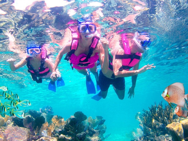 Coralererererereres en Isla Mujeternera