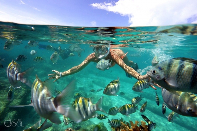 Nado con snorkel en Isla Mujeternera
