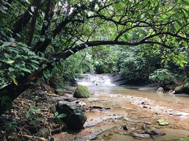 Visita el ecoparque en Tabasco