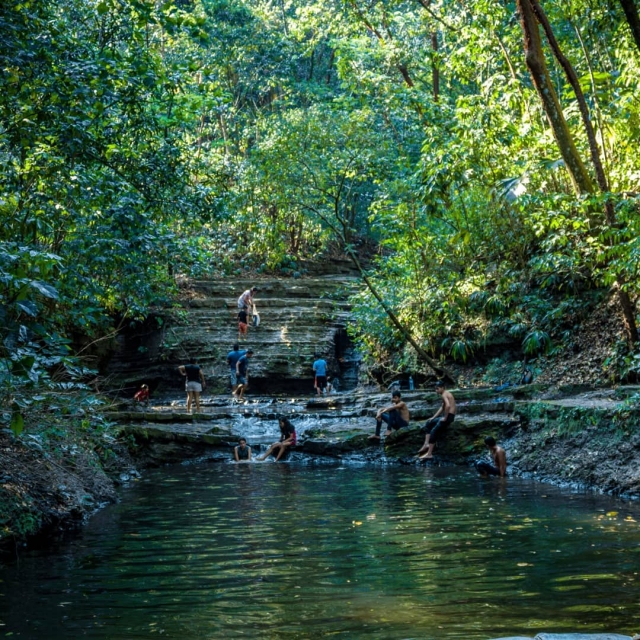 Conoce la selvas de Tabasco 