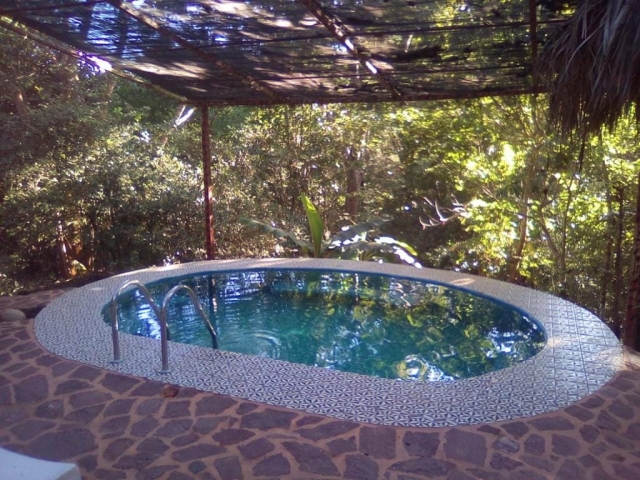 Albercas naturaleres