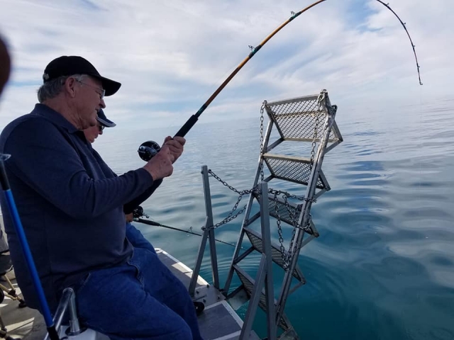 Pesca deportivas en Puerto Peñasco