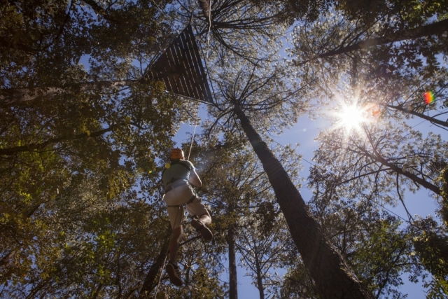Avientate en tirolina en el bosque de Valte de bravo