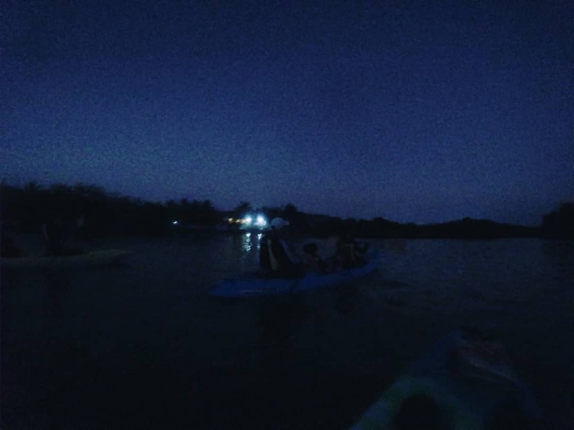 Kayaks por la noche