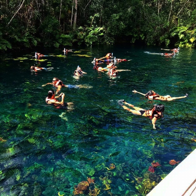 Snorkel en cenote
