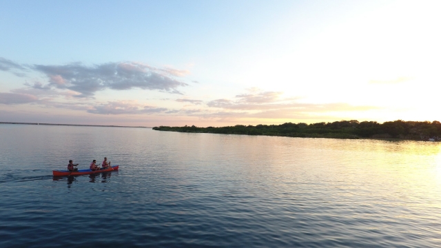 Rema en la laguna de Bacalar 