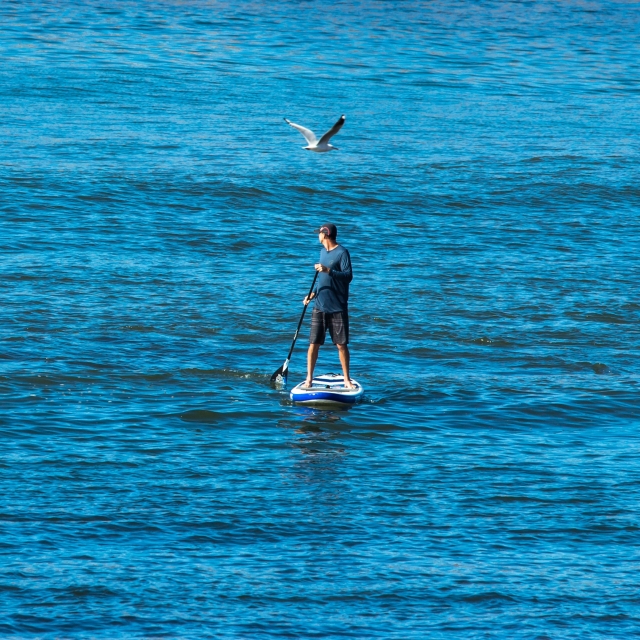 Navega en SUP por la costa de Playa del Carmen