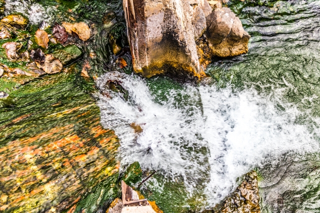 Lugaternera asombrosos