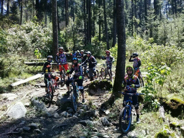 Rodada en el bosque