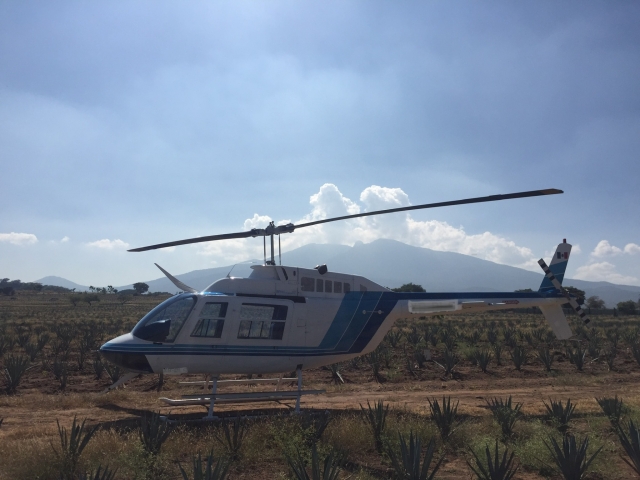 Prepárate para surcar el cielo de Jalisco