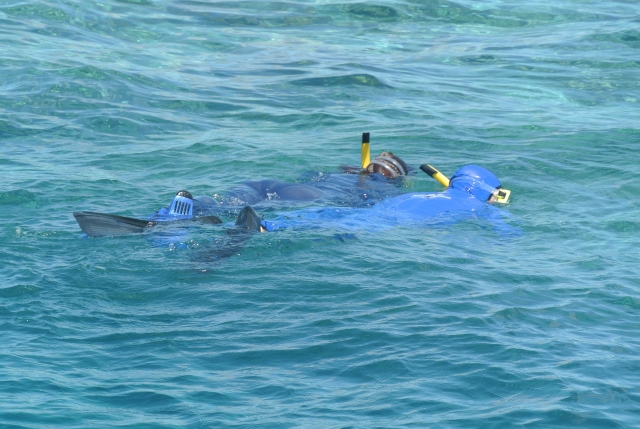 Disfruta de un rato sumergiéndote en el mar de Mazatlán 