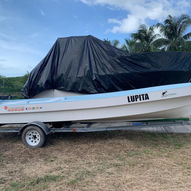 Revisa nuestras unidaderes