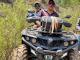 Quads Mineral Del Chico