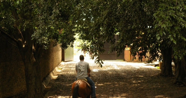Montando a caballo