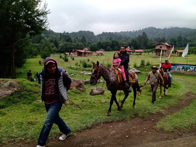 Ruta a caballo en el bosque