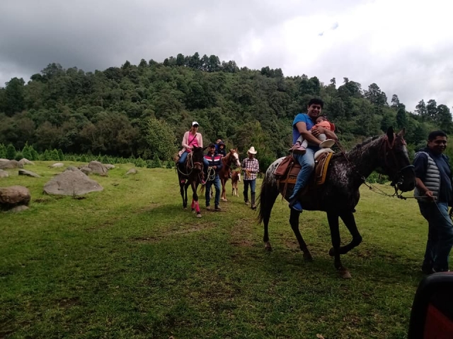 Recorrido a caballo